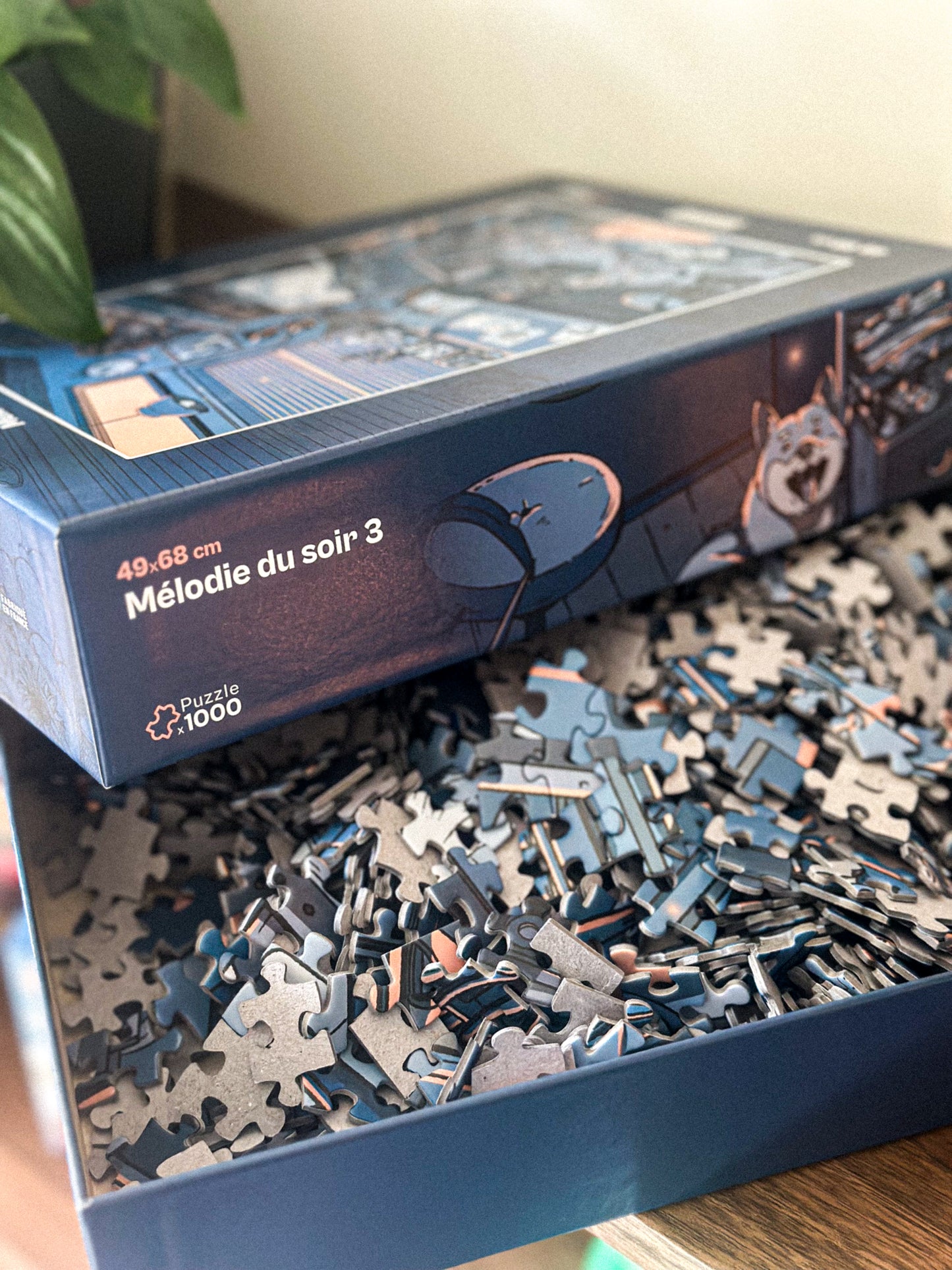 Puzzle 1000 pièces - Mélodie du soir 3🧩