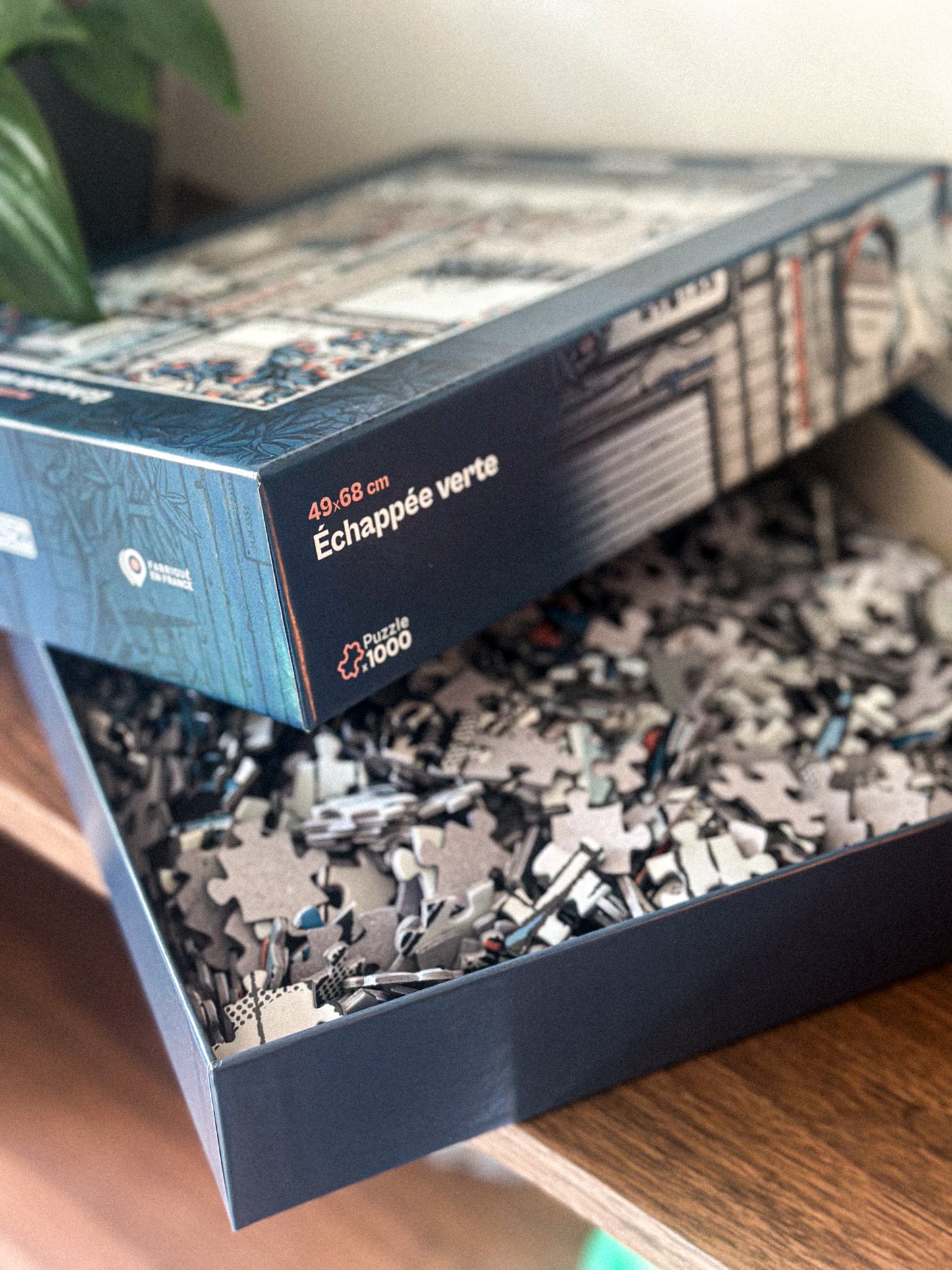 Puzzle 1000 pièces - Échappée verte🧩