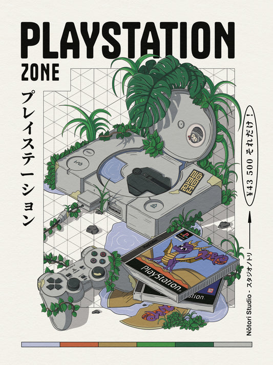 Playstation Zone 30x40